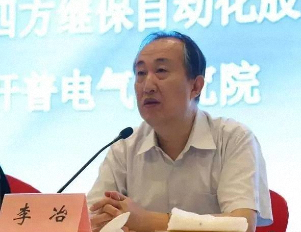 李冶(国家能源局监管总监)