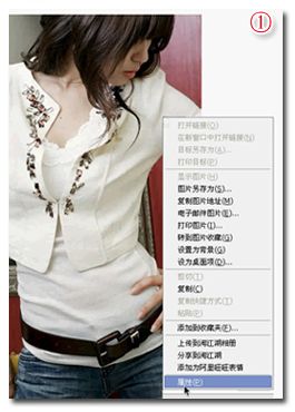 查看网路图片属性 查看网路图片属性