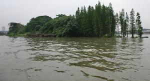车歪炮台所在小岛 车歪炮台所在小岛