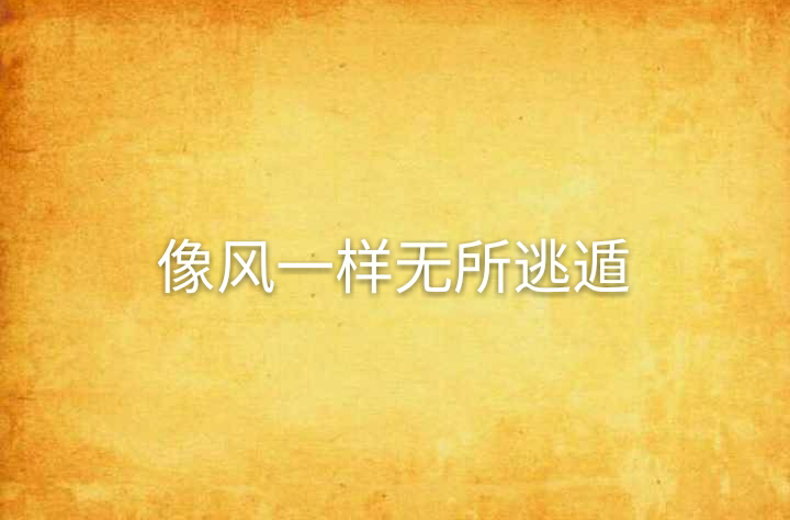 像风一样无所逃遁