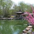 西宁植物园 西宁植物园