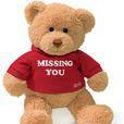 bear(英文单词) bear(英文单词)