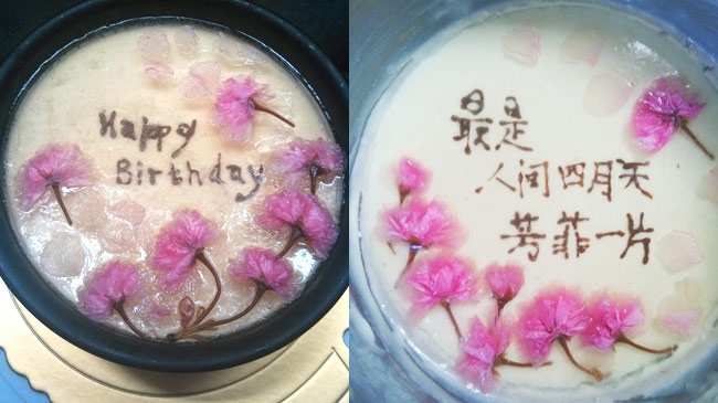 樱花冻优酪乳芝士蛋糕