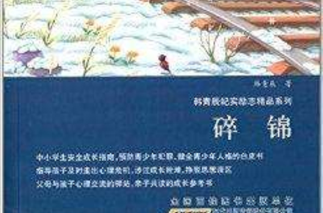 韩青辰纪实励志精品系列:碎锦 韩青辰纪实励志精品系列:碎锦