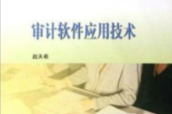 审计软体套用技术 审计软体套用技术