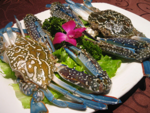 兰花蟹 兰花蟹