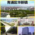 华新镇 华新镇