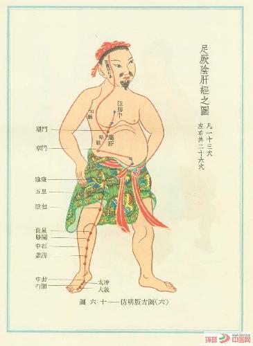 足厥阴肝经(图1) 足厥阴肝经(图1)