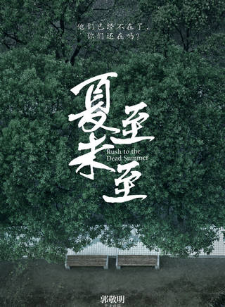 金丽婷