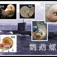 鹦鹉螺 鹦鹉螺