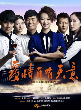 赵志瑶