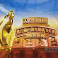 第27届中国电视剧飞天奖 第27届中国电视剧飞天奖