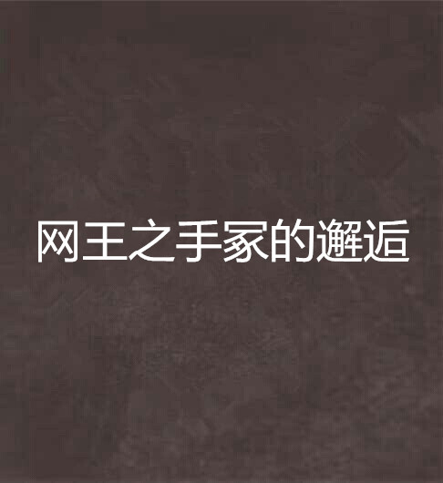 网王之手冢的邂逅
