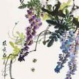 紫藤蜜蜂 紫藤蜜蜂