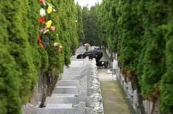 生态殡葬 生态殡葬