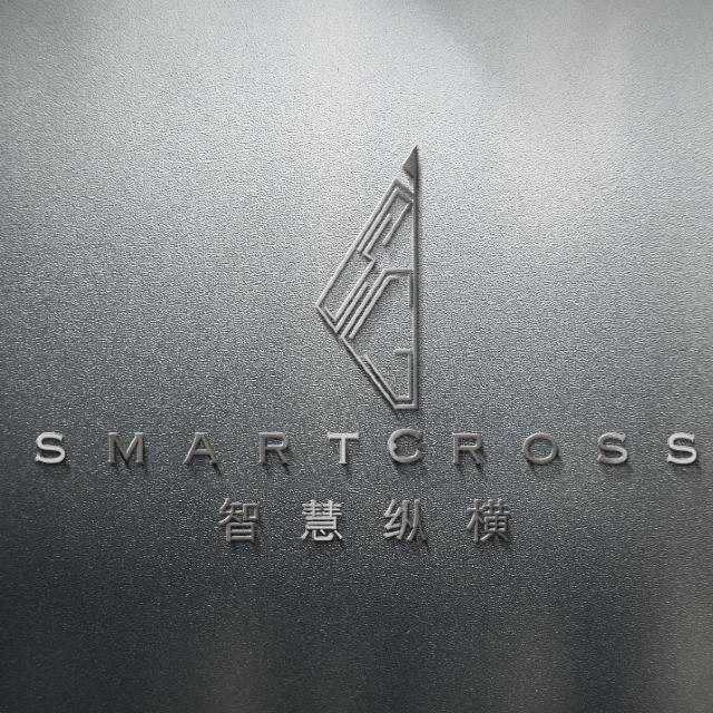 智慧纵横(中国)科技发展有限公司 智慧纵横(中国)科技发展有限公司