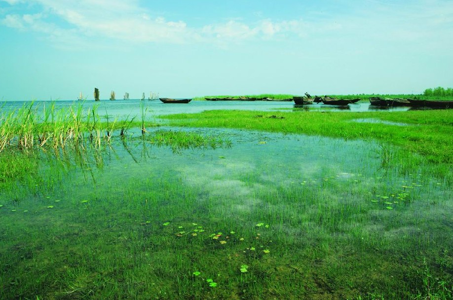 洪泽湖湿地公园 洪泽湖湿地公园