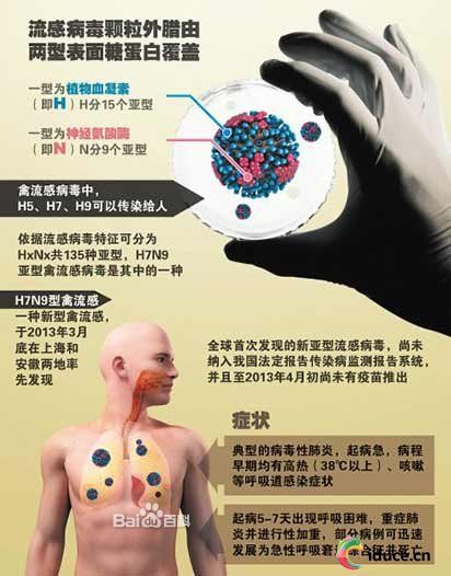 关于H7N9型禽流感的常见问题 关于H7N9型禽流感的常见问题