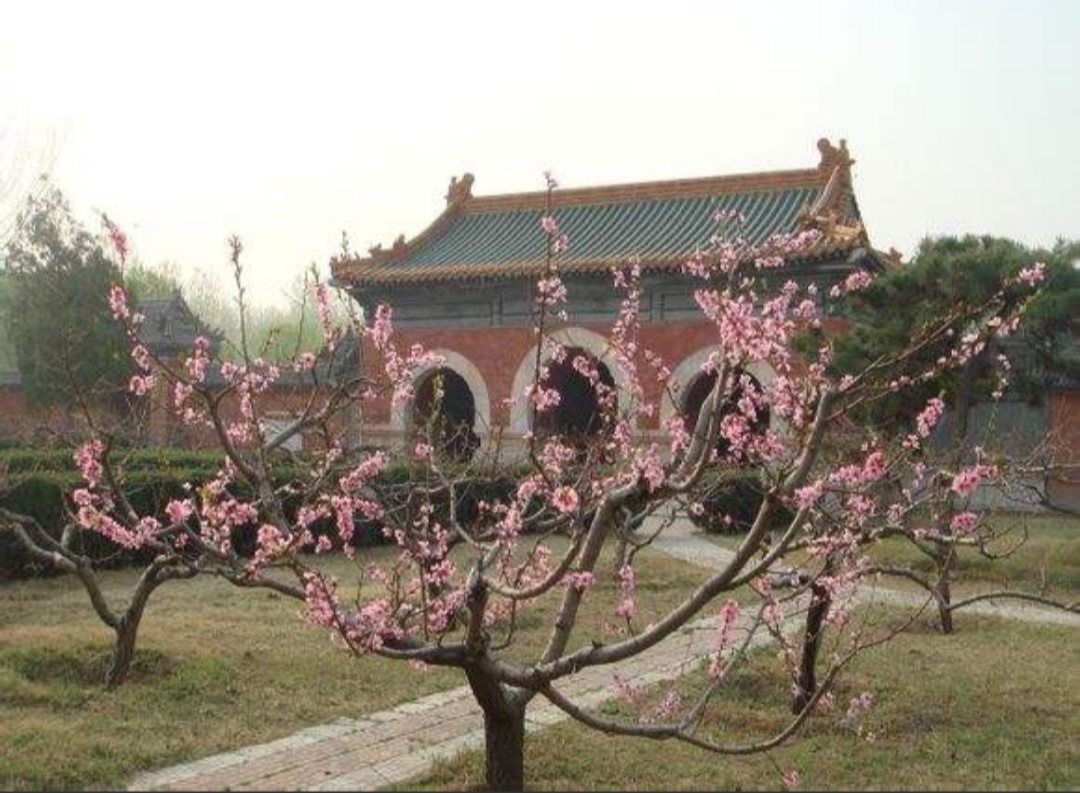 桃园区(河北省涿州市桃园区) 桃园区(河北省涿州市桃园区)