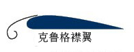 克鲁格襟翼 克鲁格襟翼