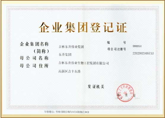 企业集团登记证 企业集团登记证