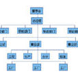 组织结构模型 组织结构模型