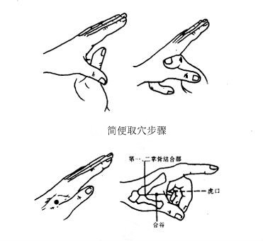 合谷 合谷