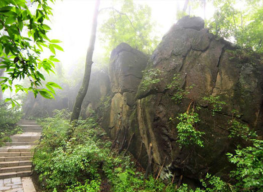 金龙山风光 金龙山风光