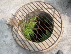 阮玲玉故居的古井 阮玲玉故居的古井