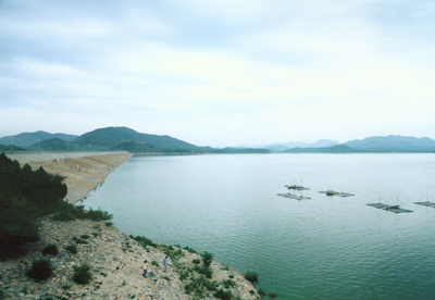 洋河水库 洋河水库
