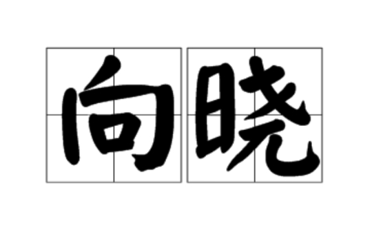 向晓