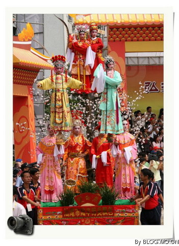 博美飘色'双白燕) 博美飘色'双白燕)
