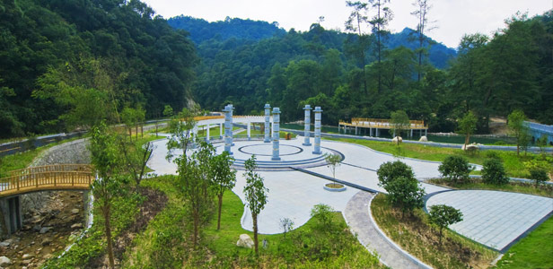 森林文化广场 森林文化广场
