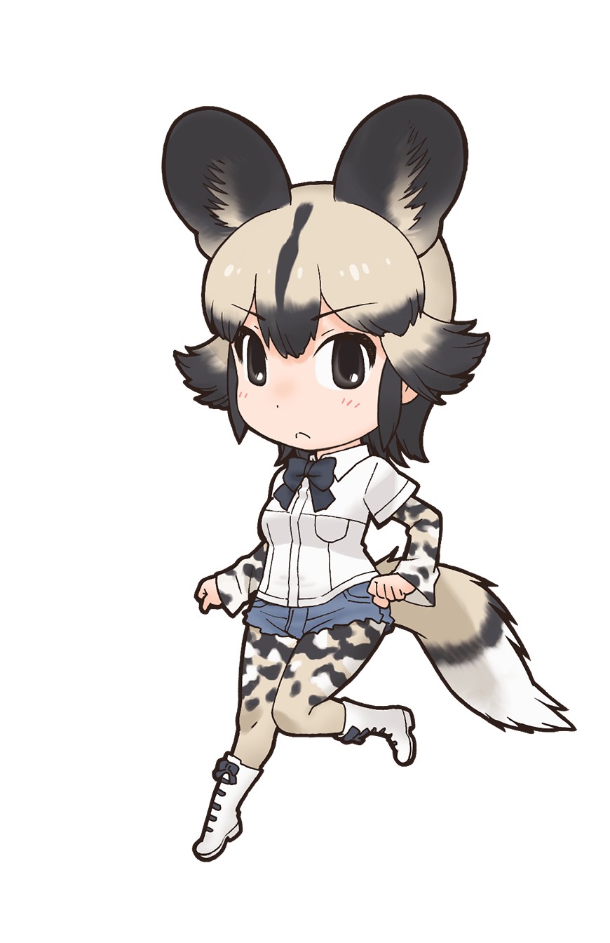 非洲野犬