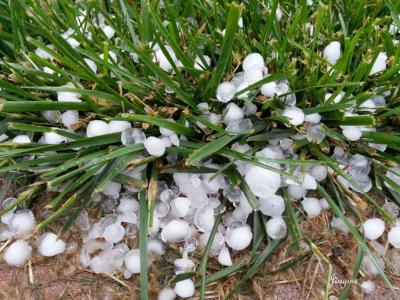 下雪 下雪