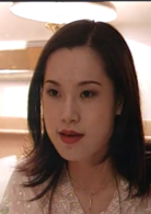 红蜘蛛(2000年张军钊执导电视剧)