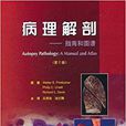 病理解剖 病理解剖