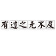 有过之无不及 有过之无不及