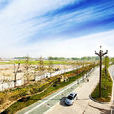 洋河镇(山东省胶州市洋河镇) 洋河镇(山东省胶州市洋河镇)