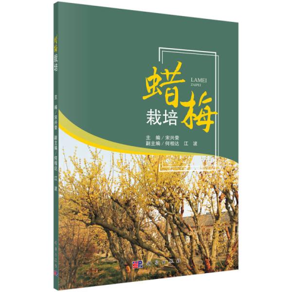 腊梅栽培 腊梅栽培