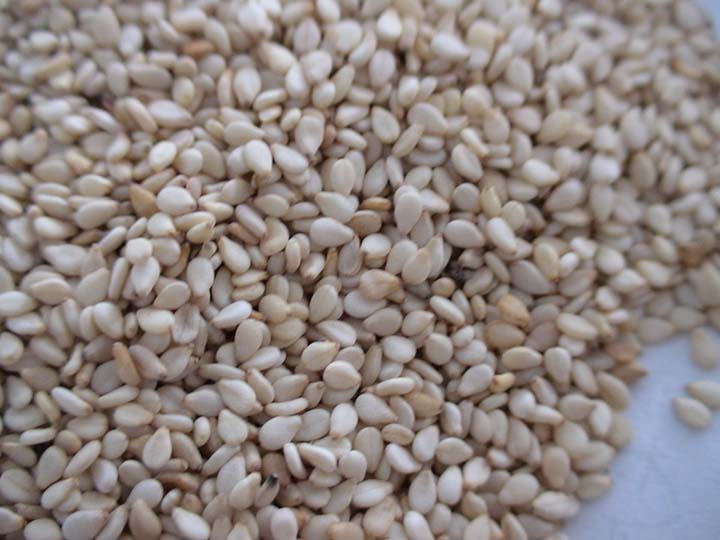 平舆白芝麻 平舆白芝麻
