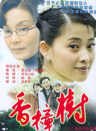 王伟华