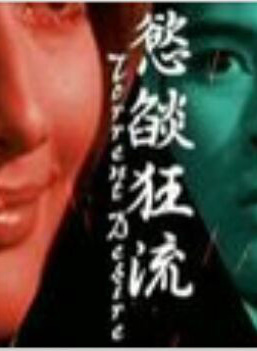 潘迎紫