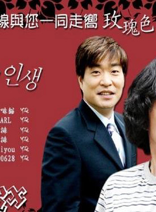 安善英