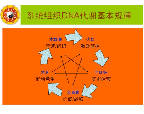 易经智慧 易经智慧