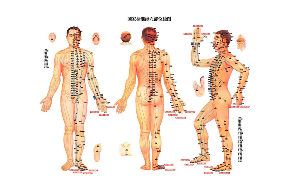 十二经络 十二经络