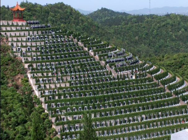 龙泉驿金龙山公墓 龙泉驿金龙山公墓