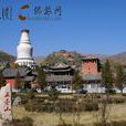 五台山朝圣 五台山朝圣