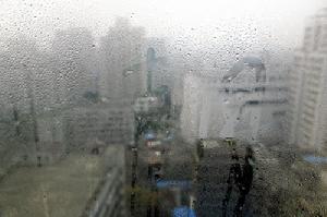 回南天 满窗泪 回南天 满窗泪