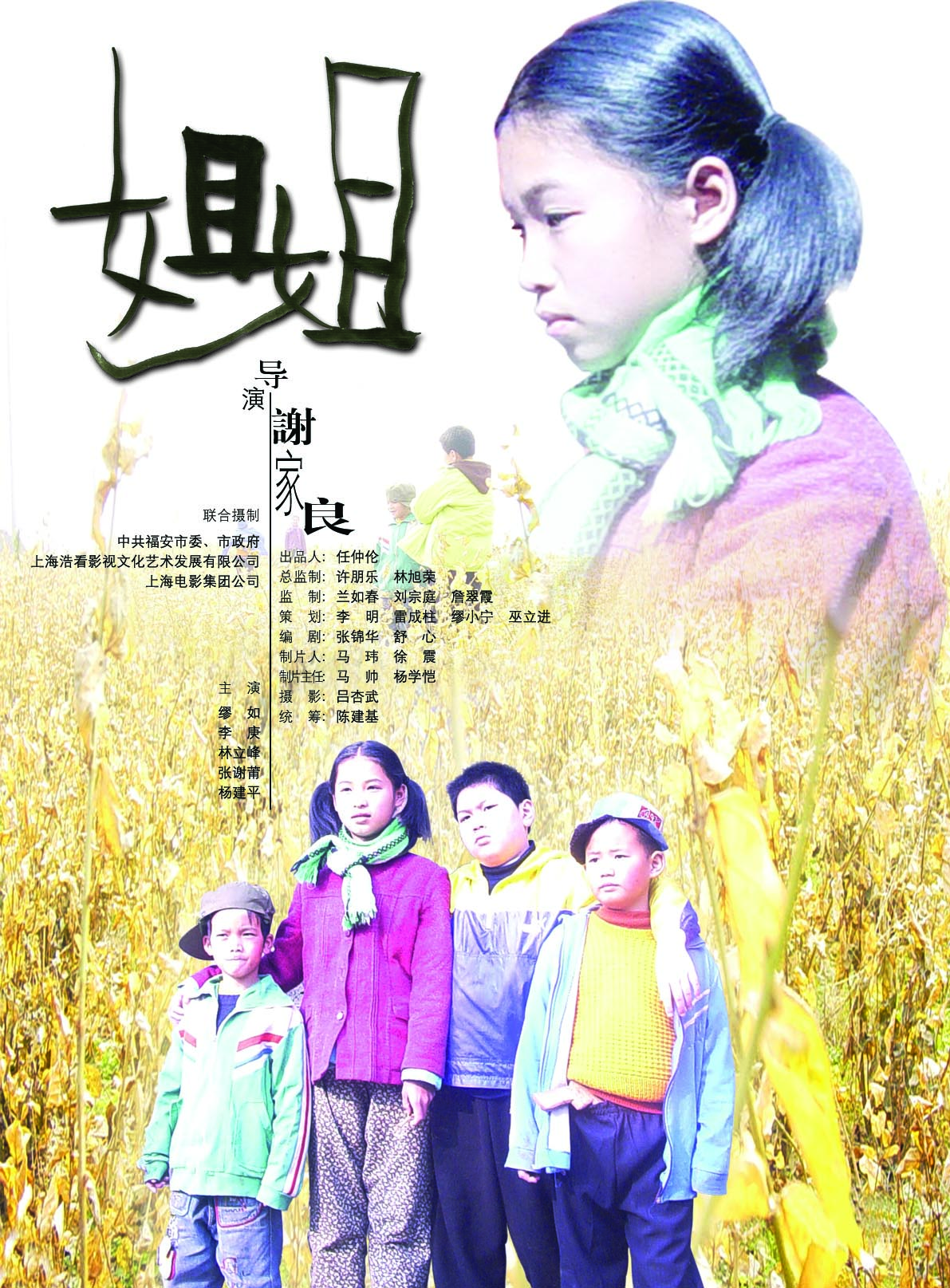 电影《姐姐海报》 电影《姐姐海报》